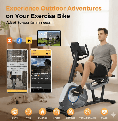 Recumbent Exercise Bike