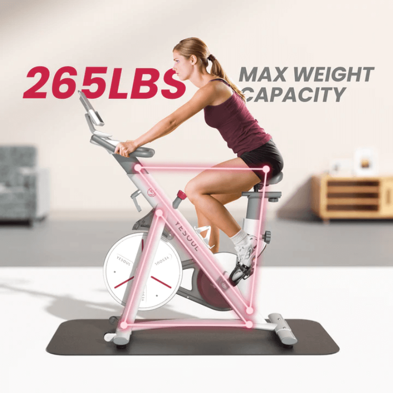 S3 Indoor Exercise Spin Bike