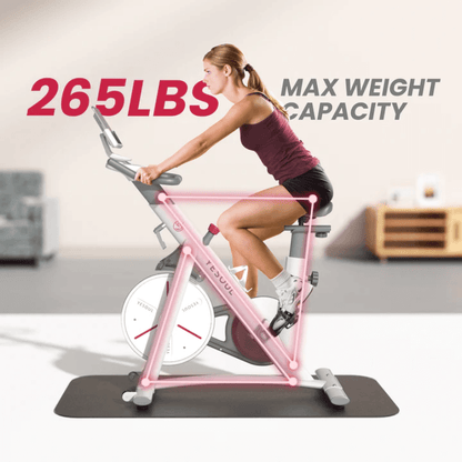 S3 Indoor Exercise Spin Bike